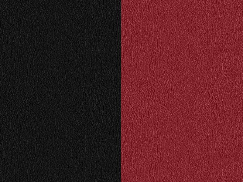 雙色皮革 - 紅/黑 (297)
