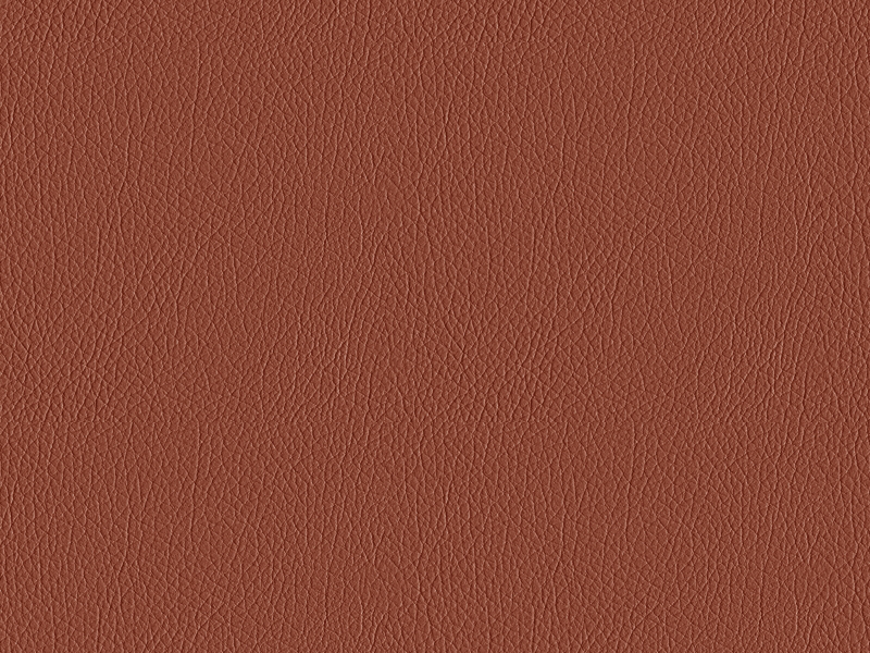 Leather, two-tone - Sienna Brown / Black (204)