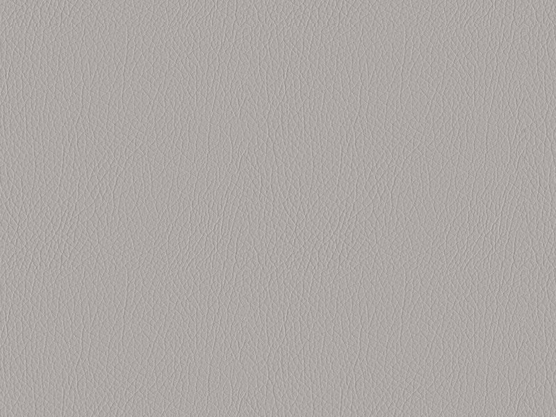 Leather - Macchiato Beige / Space Grey (205)