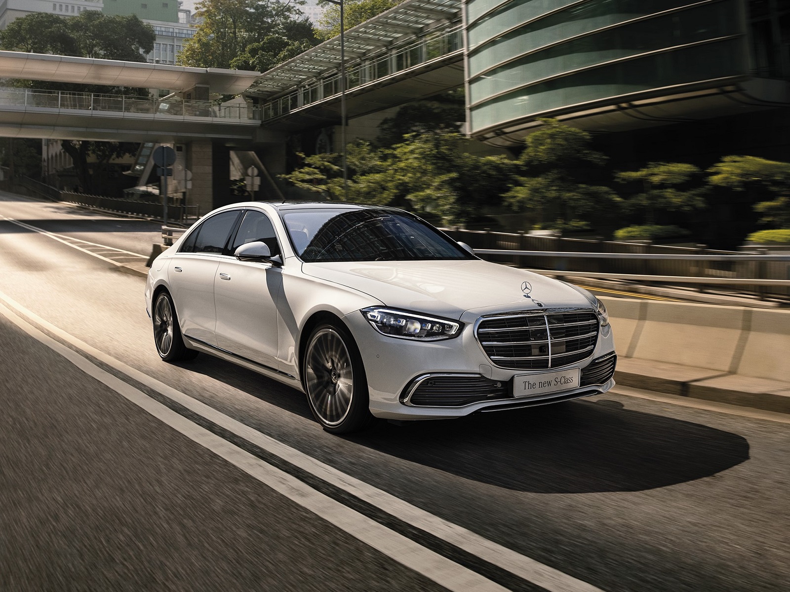 S Class Amateur For Rent